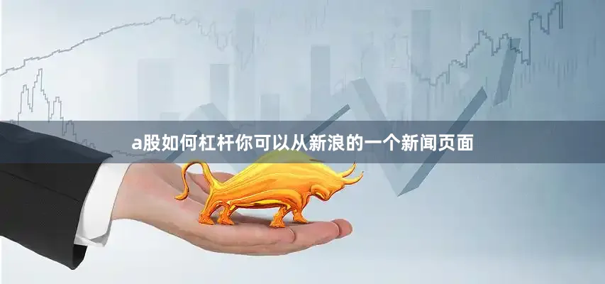 a股如何杠杆你可以从新浪的一个新闻页面