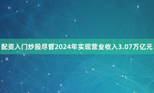 配资入门炒股尽管2024年实现营业收入3.07万亿元